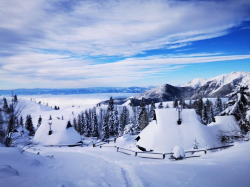 Chalet Zlatica Velika Planina Stahovica Eksteriør bilde