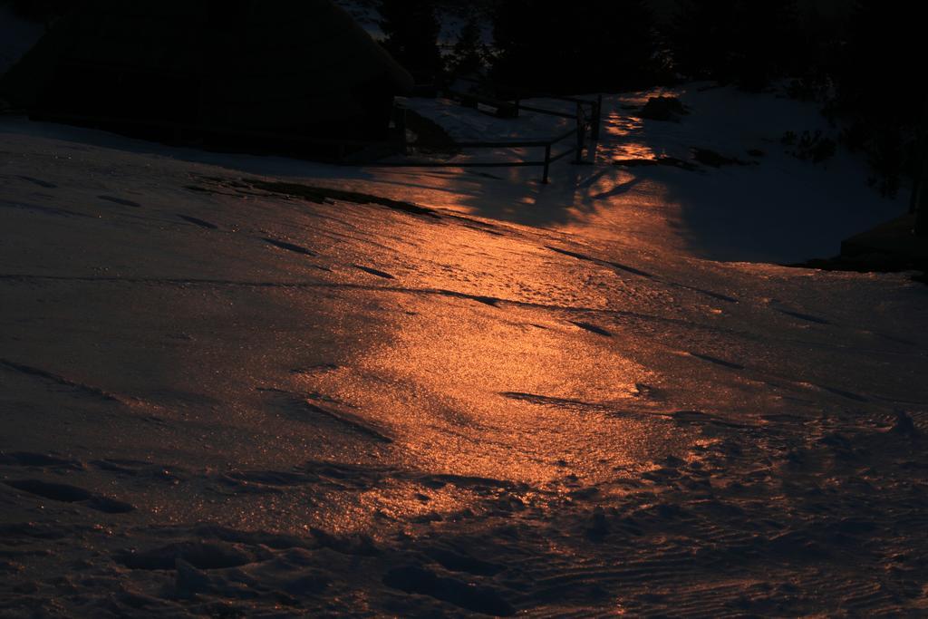 Chalet Zlatica Velika Planina Stahovica Eksteriør bilde
