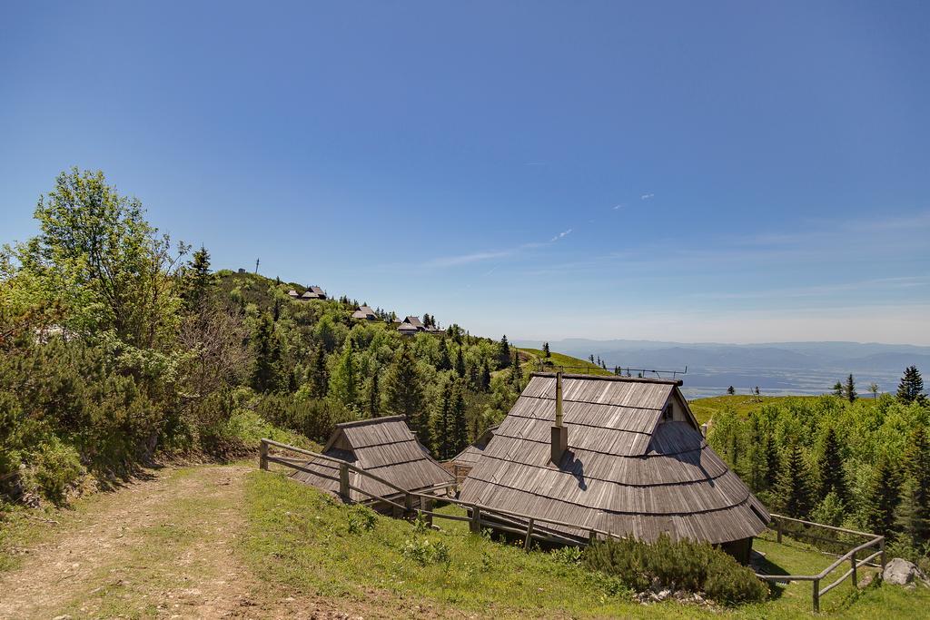 Chalet Zlatica Velika Planina Stahovica Eksteriør bilde